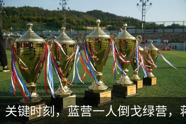 关键时刻,蓝营一人倒戈绿营,蒋万安没说“我是中国人”遭反噬?